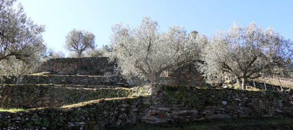 9 غرف نوم قلاع في Castanheiro do Sul, Portugal رقم 76324 15