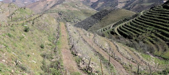 9 غرف نوم قلاع في Castanheiro do Sul, Portugal رقم 76324 45