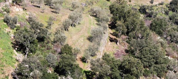 9 غرف نوم قلاع في Castanheiro do Sul, Portugal رقم 76324 5