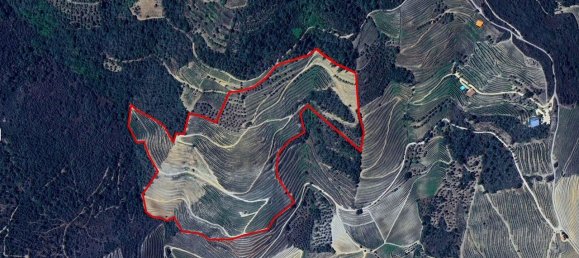 9 غرف نوم قلاع في Castanheiro do Sul, Portugal رقم 76324 50