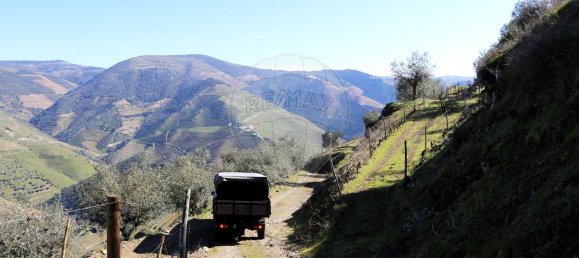 9 غرف نوم قلاع في Castanheiro do Sul, Portugal رقم 76324 10