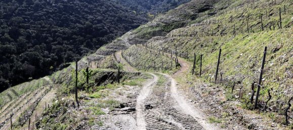 9 غرف نوم قلاع في Castanheiro do Sul, Portugal رقم 76324 42