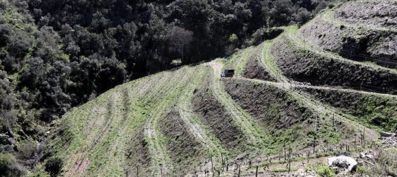 9 غرف نوم قلاع في Castanheiro do Sul, Portugal رقم 76324 44