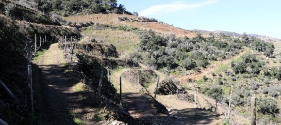9 غرف نوم قلاع في Castanheiro do Sul, Portugal رقم 76324 20