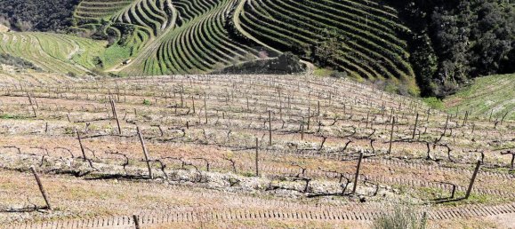 9 غرف نوم قلاع في Castanheiro do Sul, Portugal رقم 76324 34