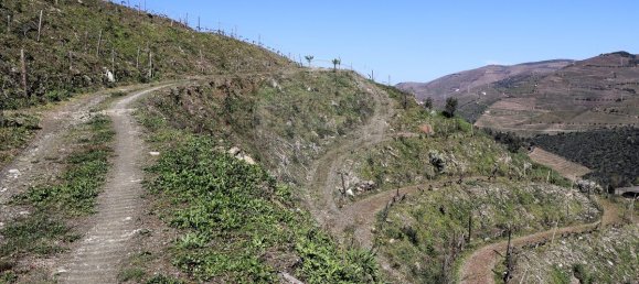 9 غرف نوم قلاع في Castanheiro do Sul, Portugal رقم 76324 43