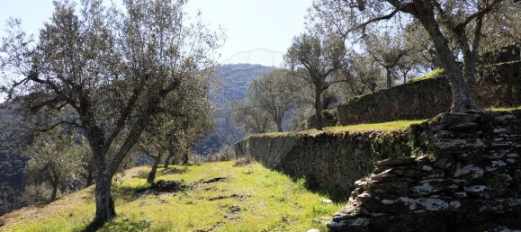 9 غرف نوم قلاع في Castanheiro do Sul, Portugal رقم 76324 14