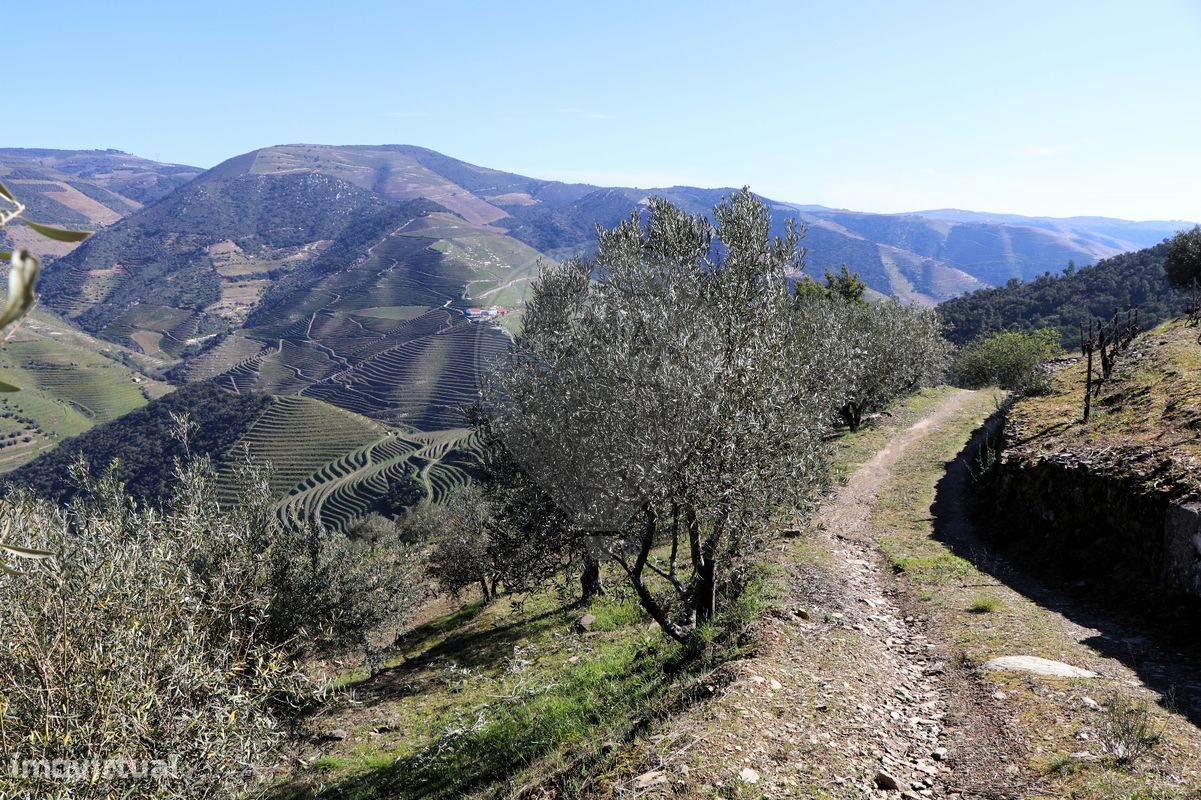 9 غرف نوم قلاع في Castanheiro do Sul, Portugal رقم 76324