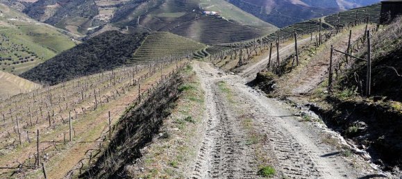 9 غرف نوم قلاع في Castanheiro do Sul, Portugal رقم 76324 39