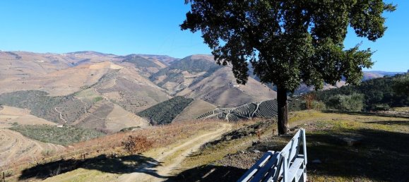 9 غرف نوم قلاع في Castanheiro do Sul, Portugal رقم 76324 22