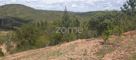 48928m² Land in Sao Bartolomeu de Messines, Portugal No. 47042 18