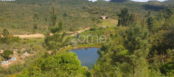 48928m² Land in Sao Bartolomeu de Messines, Portugal No. 47042 21