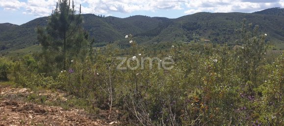 48928m² Land in Sao Bartolomeu de Messines, Portugal No. 47042 19