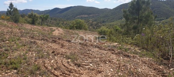 48928m² Land in Sao Bartolomeu de Messines, Portugal No. 47042 17
