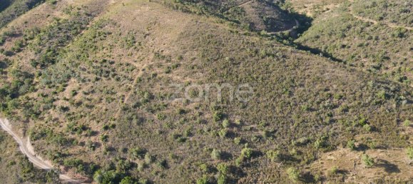 48928m² Land in Sao Bartolomeu de Messines, Portugal No. 47042 13