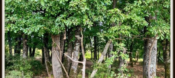 Casa de 3 dormitorios en Tarn-et-Garonne, France No. 296795 27