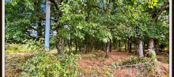 Casa de 3 dormitorios en Tarn-et-Garonne, France No. 296795 29