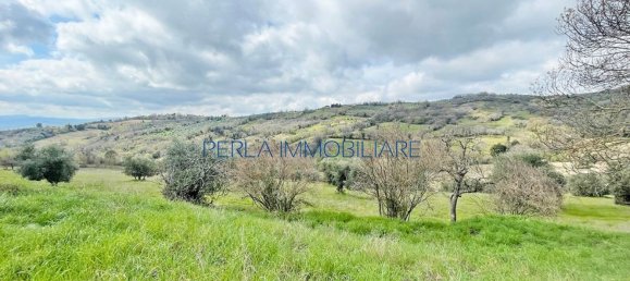 8-Zimmer Haus in Scansano, Italy, Nr. 147703 8