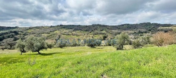 8-Zimmer Haus in Scansano, Italy, Nr. 147703 13