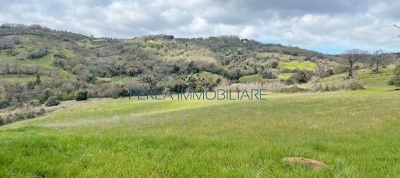 8-Zimmer Haus in Scansano, Italy, Nr. 147703 18