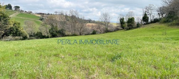 8-Zimmer Haus in Scansano, Italy, Nr. 147703 24