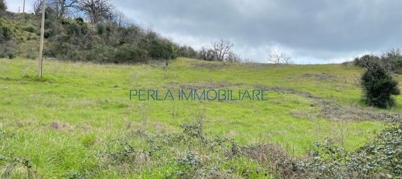 8-Zimmer Haus in Scansano, Italy, Nr. 147703 26