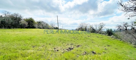 8-Zimmer Haus in Scansano, Italy, Nr. 147703 11