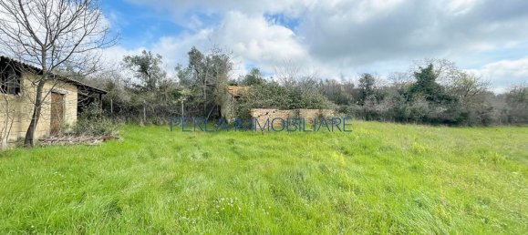 8-Zimmer Haus in Scansano, Italy, Nr. 147703 10