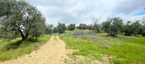 8-Zimmer Haus in Scansano, Italy, Nr. 147703 27