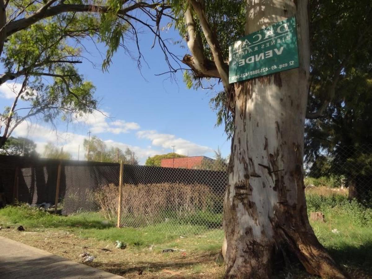  قطعة أرض في Campo Creado, Argentina رقم 37982