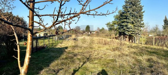  Land in Barnim, Germany No. 49812 5