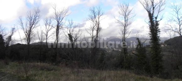 120m² Building in Lucca, Italy No. 332537 6