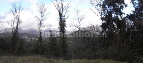 120m² Building in Lucca, Italy No. 332537 5