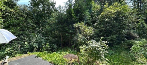 Grundstück in Mittelsachsen, Germany, Nr. 331113 6