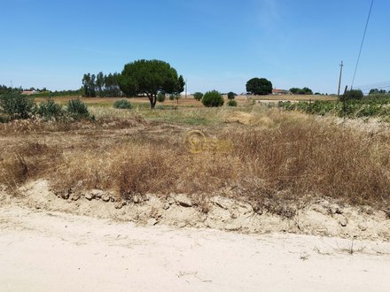 8250m² Land in Coruche, Portugal No. 157696