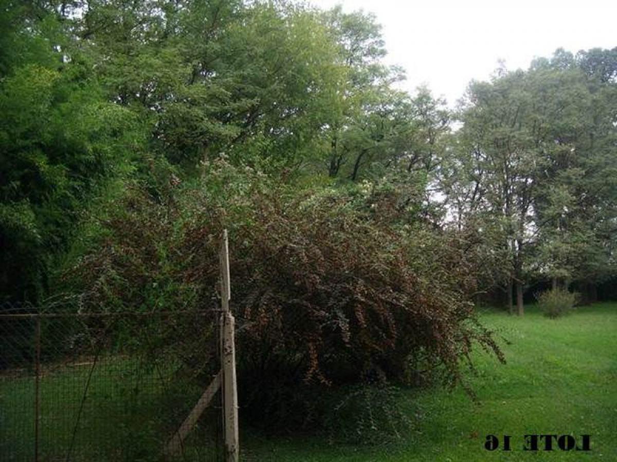 Grundstück in Jose C. Paz, Argentina, Nr. 114998