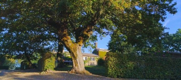 7 bedrooms Villa in Orvieto, Italy No. 260458 17