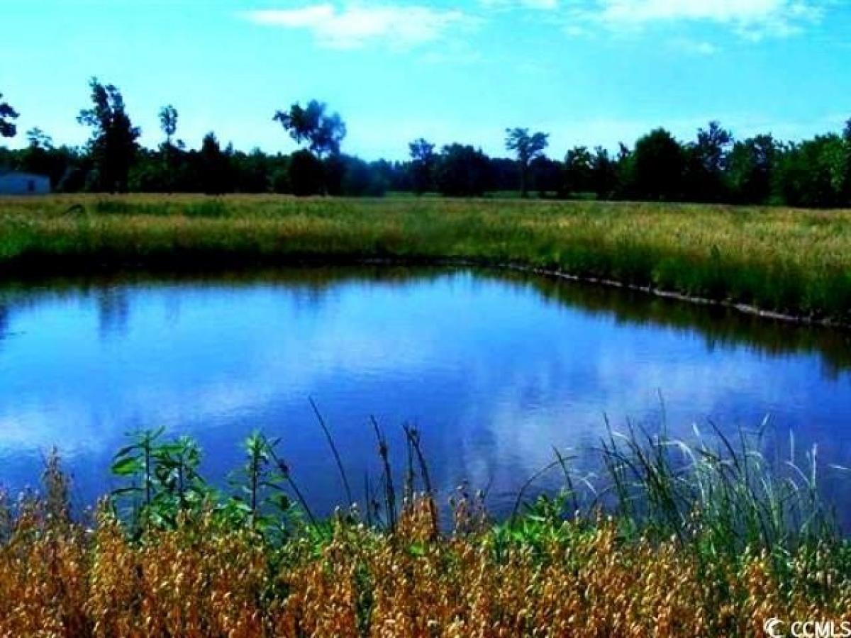  قطعة أرض في Loris, USA رقم 483105