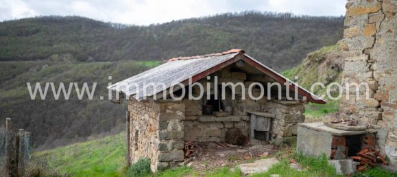 7 bedrooms House in Roccaverano, Italy No. 124837 10