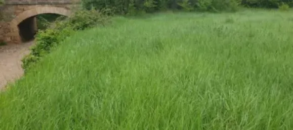  Land in Zaragoza, Spain No. 191549 6