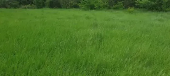  Land in Zaragoza, Spain No. 191549 5