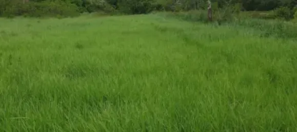  Land in Zaragoza, Spain No. 191549 18