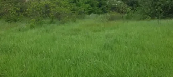  Land in Zaragoza, Spain No. 191549 3