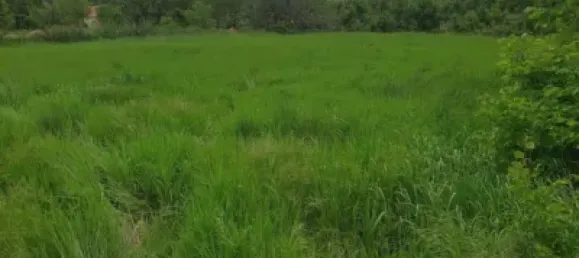  Land in Zaragoza, Spain No. 191549 4