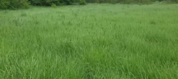  Land in Zaragoza, Spain No. 191549 17