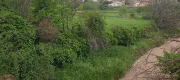  Land in Zaragoza, Spain No. 191549 10