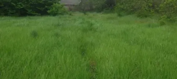  Land in Zaragoza, Spain No. 191549 2