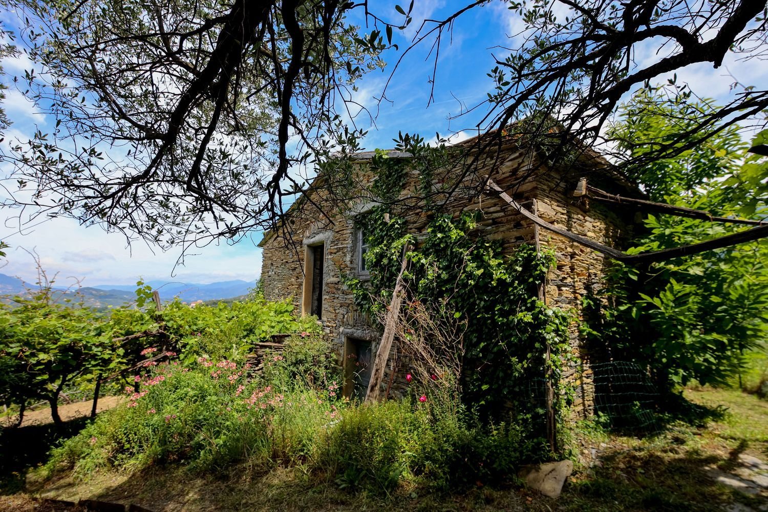 4 rooms House in Lavagna, Italy No. 272384