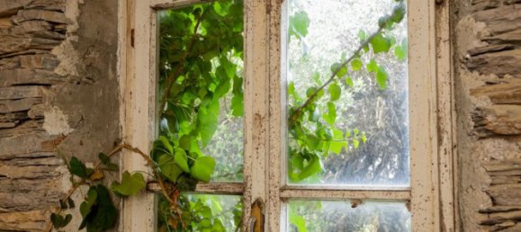 Дом с 4 комнатами в Лаванья, Италия № 272384 8