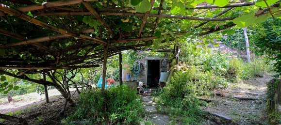 Дом с 4 комнатами в Лаванья, Италия № 272384 4